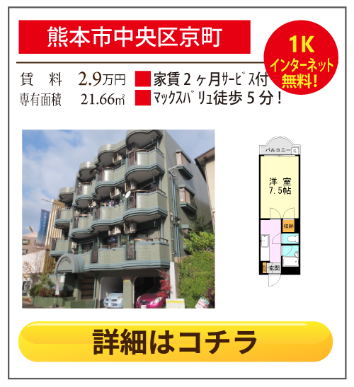 熊本県熊本市中央区京町1丁目ラフォーレ１６番館 302